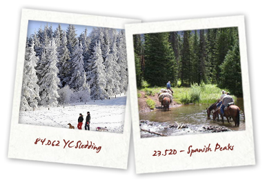 We take care of your home so you don't have to!